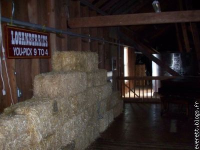 A l'étage de la grange, petite reconstitution (ou conservation)